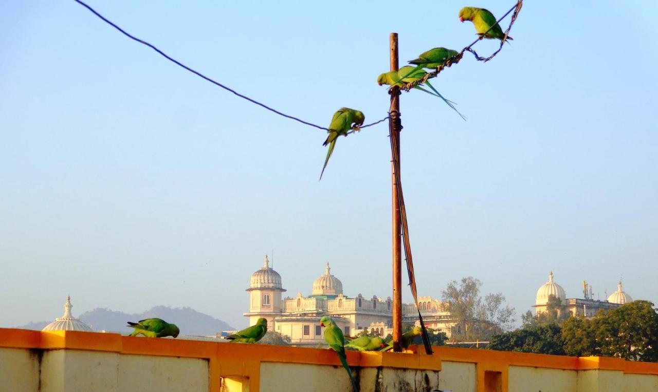 Mohan Villa Guest House Udaipur Exterior foto